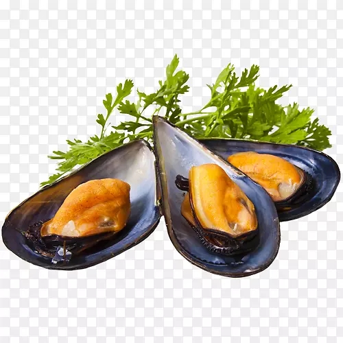 ���к��ݱ����ʲ���-������