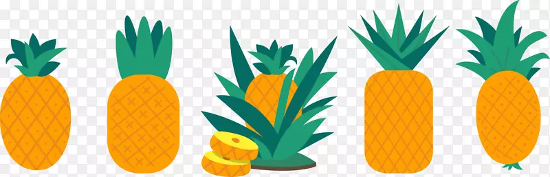 ����-��ͨ����-������