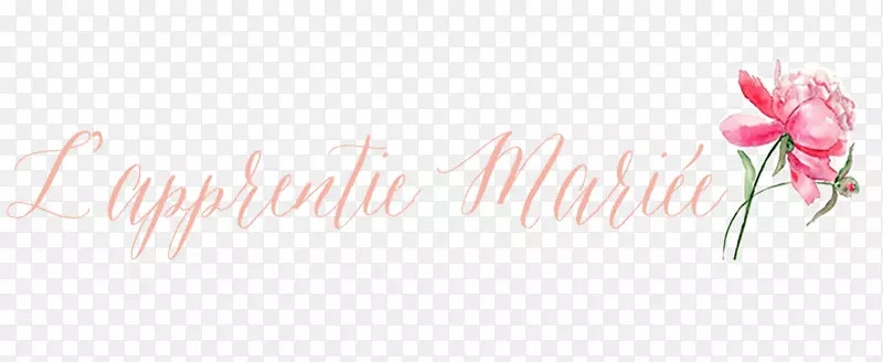 ���ͻ��������ֽ���Ⱞ-��-������