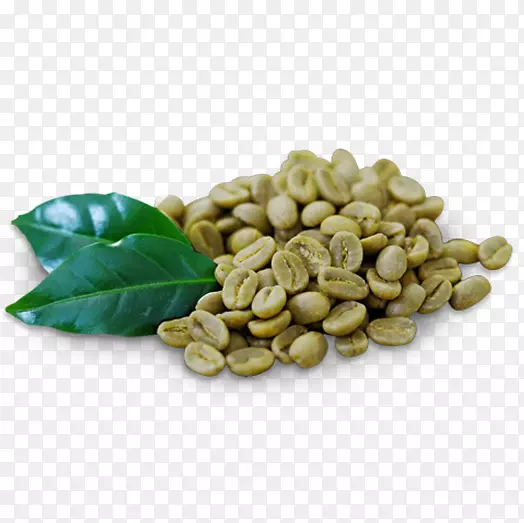 �̿�����ȡ���̲迧����-����-������