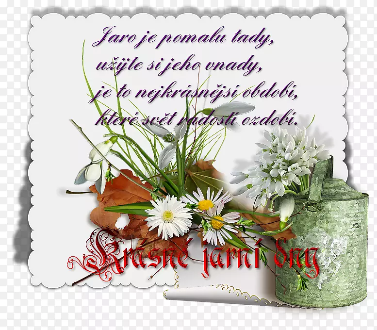 ������Ʋ���-������