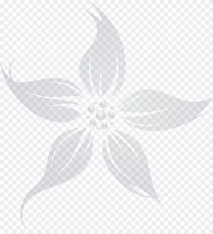 �����߰�ɫ�Գ�Ҷ��-������