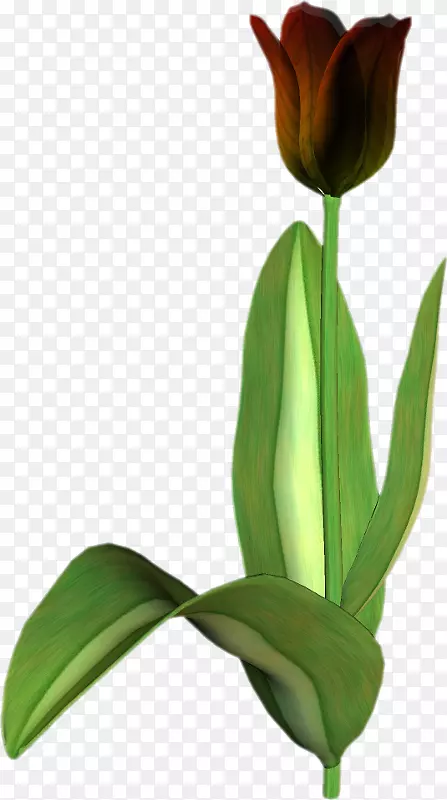 �������л�-������