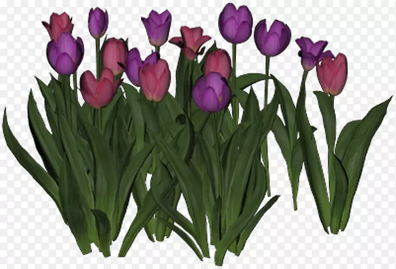 �������л�����������-������