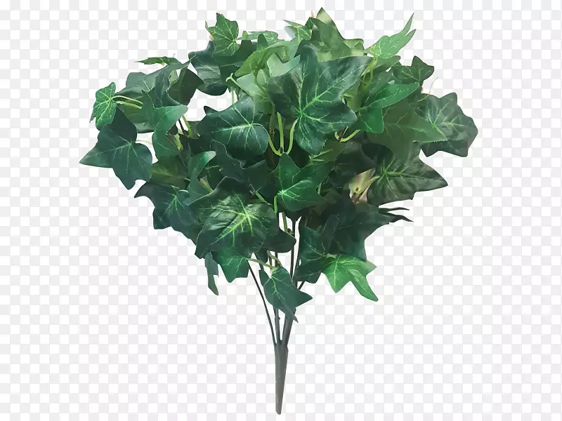 ��԰�����߲˻���-�߲�-������