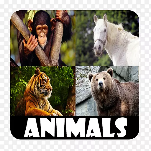 �ʺϺ��ӵĶ�������android-android-������