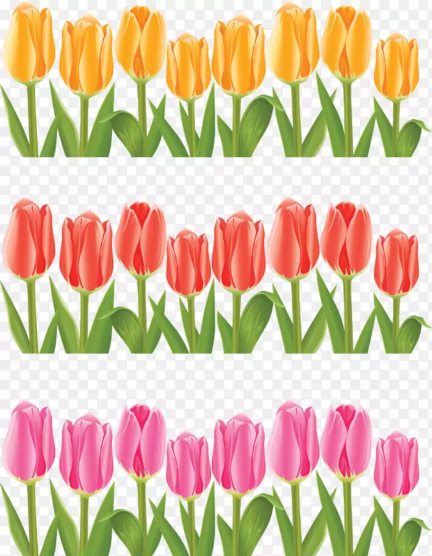 �����㻨-������-������