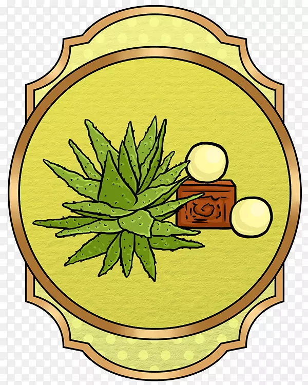 ����ֲ���̹�Ҷ������-�ݱ�ĵ��-������