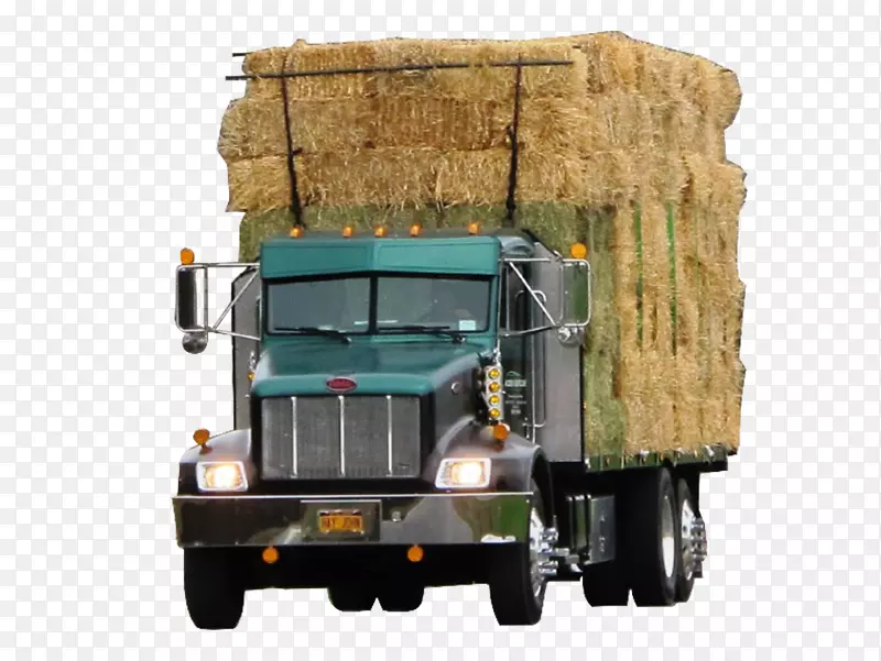 ���ó�Ƥ������ҳ�-������