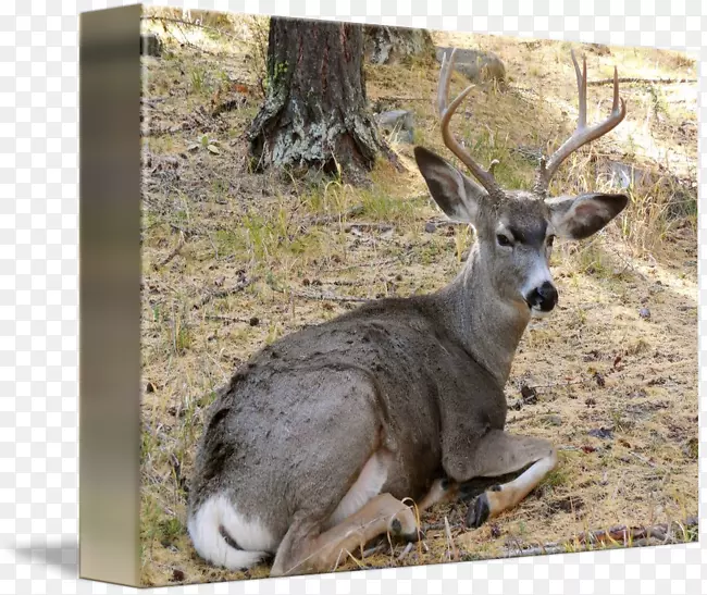 ��β¹��½������¹-������