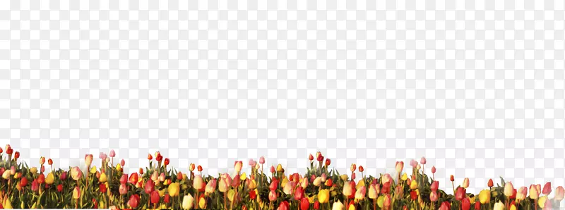 ������ˮ�ʻ���-�����㻨1-������