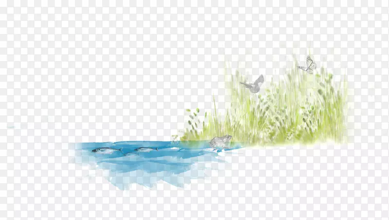 ˮ��Դ�����ֽ�����ʪ��ֲ��-������