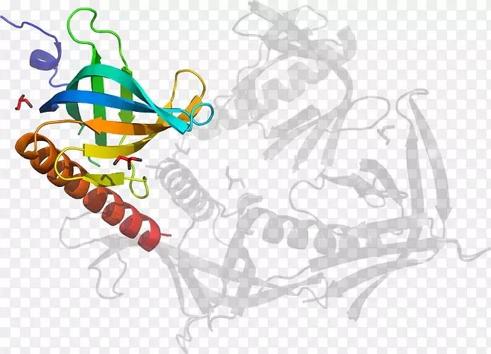 ƽ��������������������-������