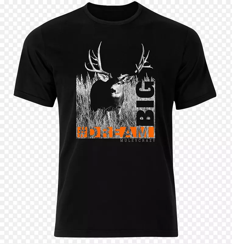 ����t����װ����t��-������