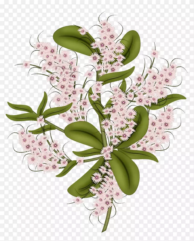 ����ֽ��������-������