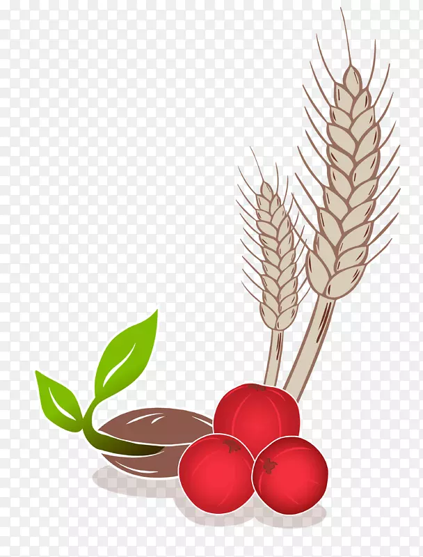 �л�ʳƷ��͹��������-������