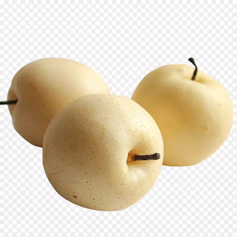 ɽ����������ϼƻ������ѩ��-������