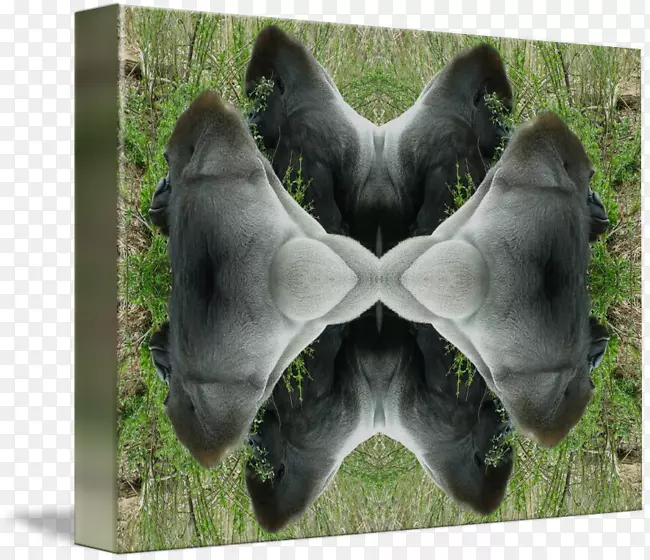 ������ë���Ӷ���-������-������