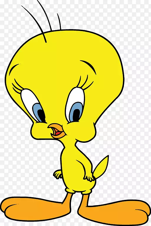 ���洫���߿�ͨ������-������