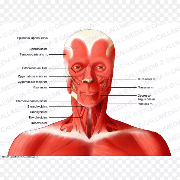 ���⾱����ϵͳ�������-������