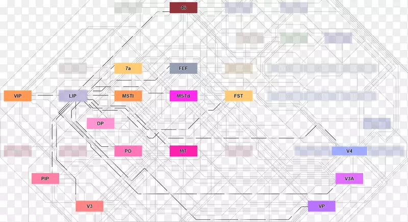 ֱ�ߵ����-������