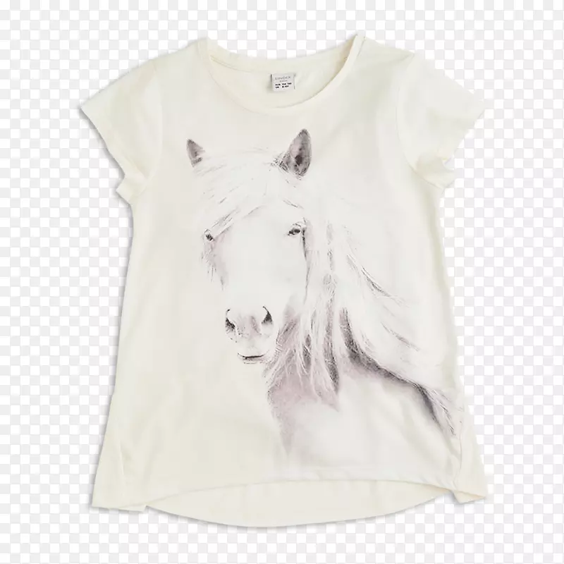 ����t�������-�����ȱ�ӡ��-������