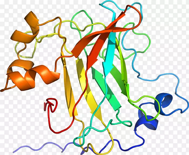 ������Ϊ���������-������