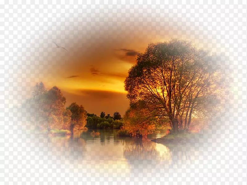 �����ֽ������ʾ�����۵���-������