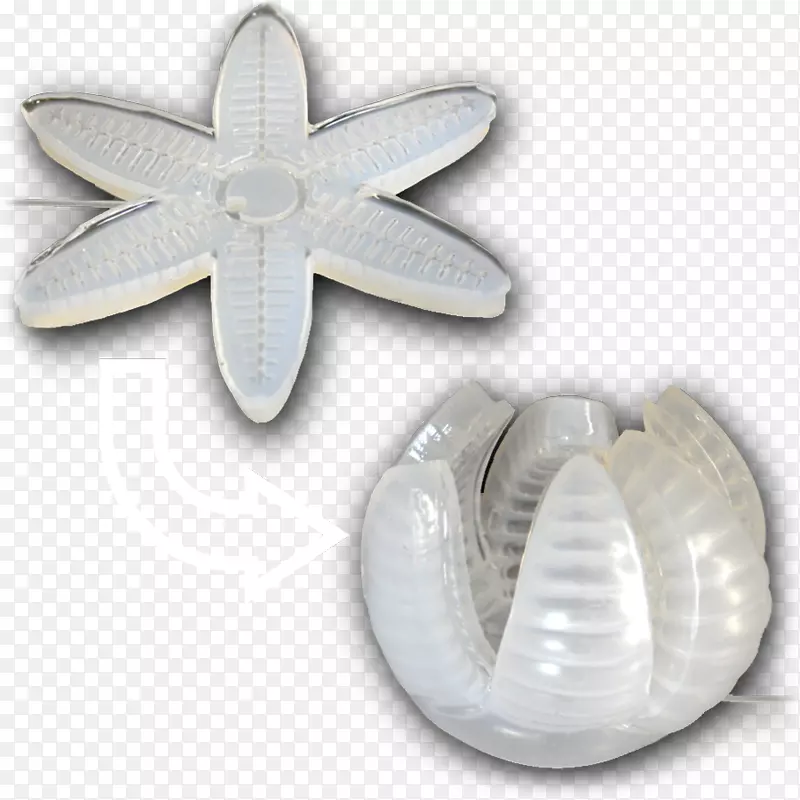 ��������ִ�л�������.������-������