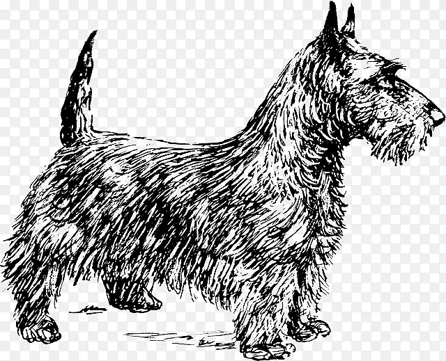 �ո�����Ȯ���⻬������Ȯ��������Ȯ��Լ�˿���Ȯ����ʿ����Ȯ-������