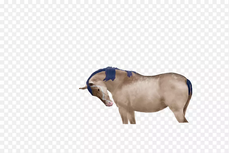 ����Ұ��������Ӷ���-��-������