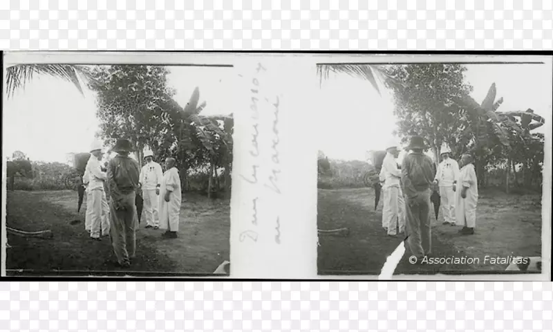 ����ղ���Ӱ��ɫ-������