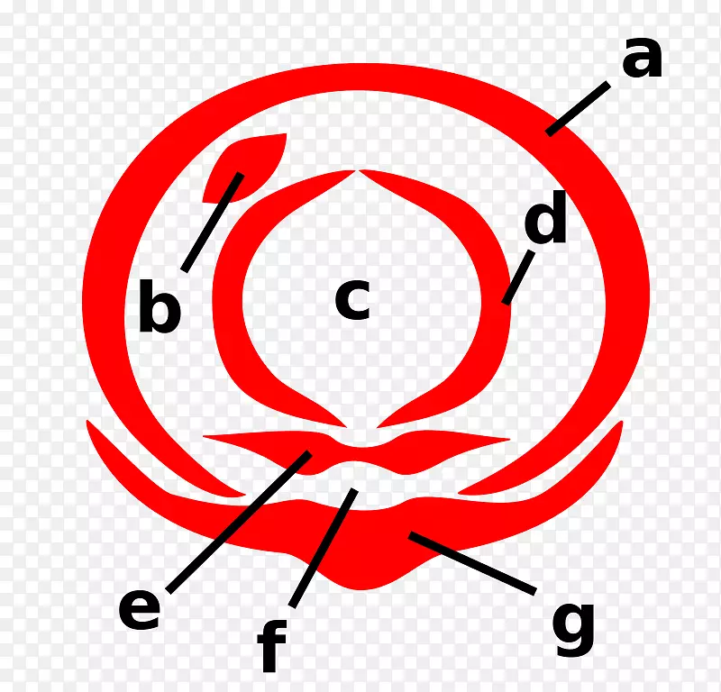 ʭ�ӣ������������ʭ������������ѧ��-������