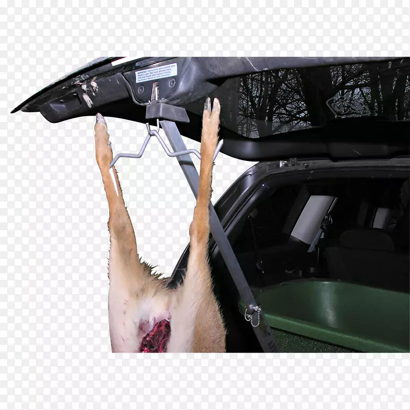 �������˱��ո���-����-������