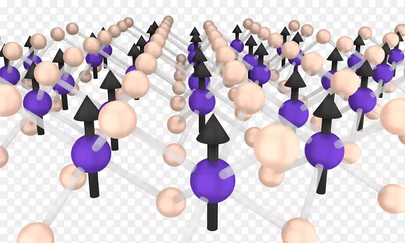 �������մ�����ѧ�ų����Լ���-������