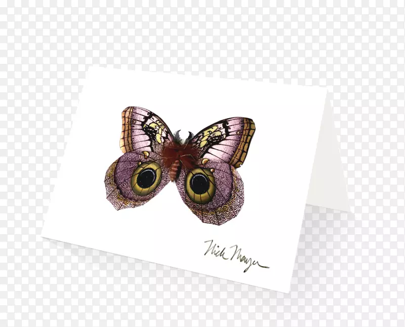 ����-������