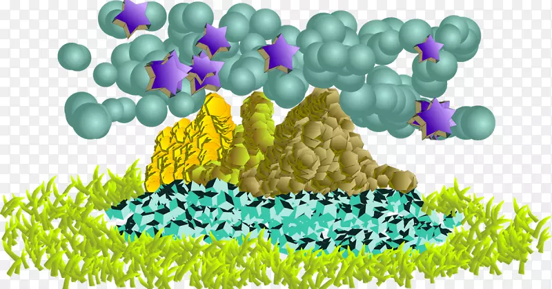 �����ֽ����-������