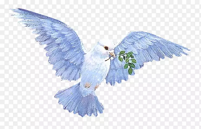 �ڻ������ɸ����������-������