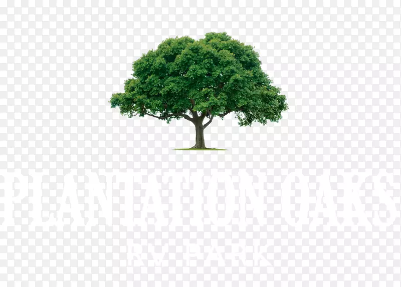 �������ֽ������-��-������