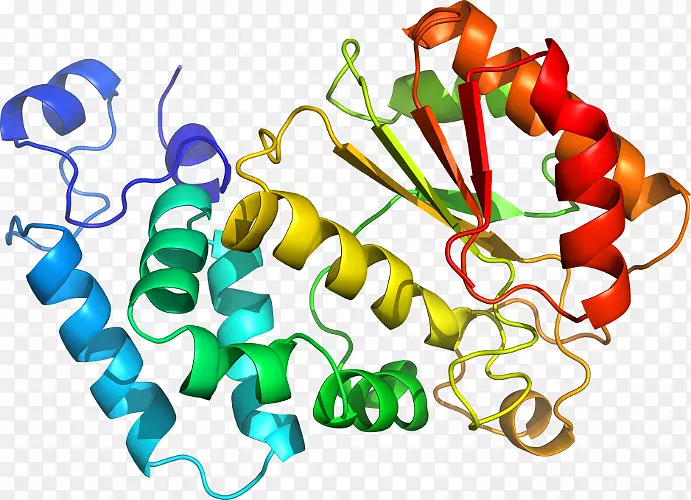 ���������л����߼�������-������