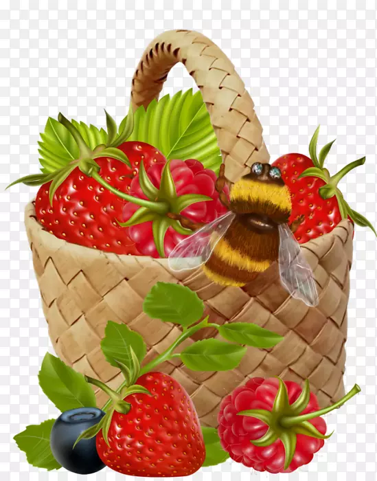 ��ݮʳƷ-��ݮ-������