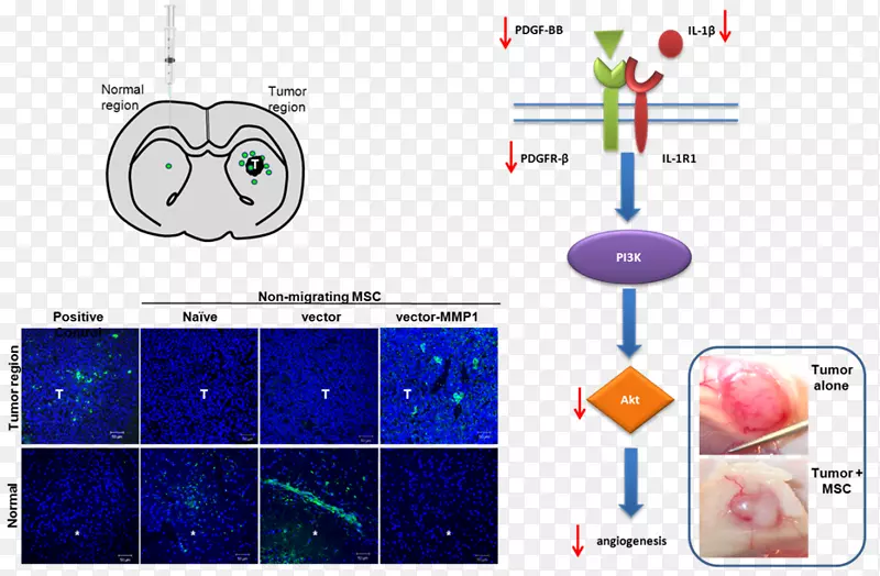 ������������ư�ϸ��-��ɫ�����ϸ��-������