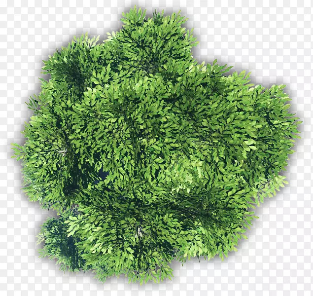 Ҷ�߲�ʳƷ����Ӫ���߲�-������