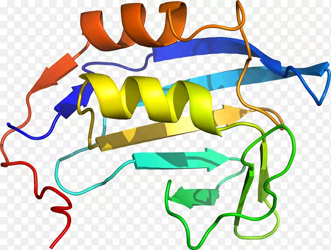 �ߵ������-��-������