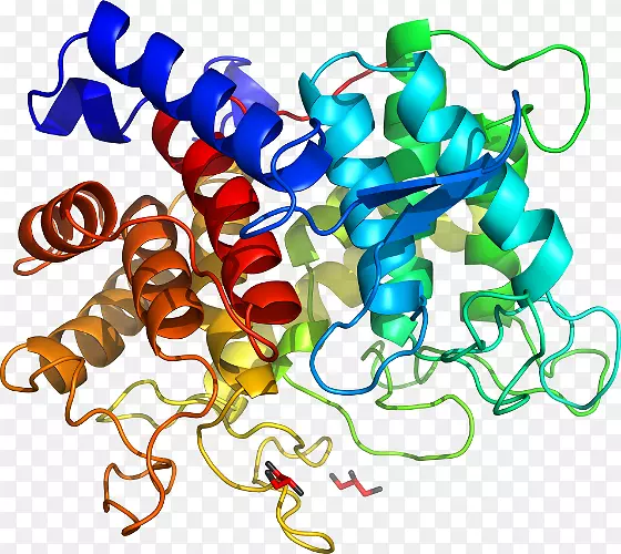 �����л����߶����������-������