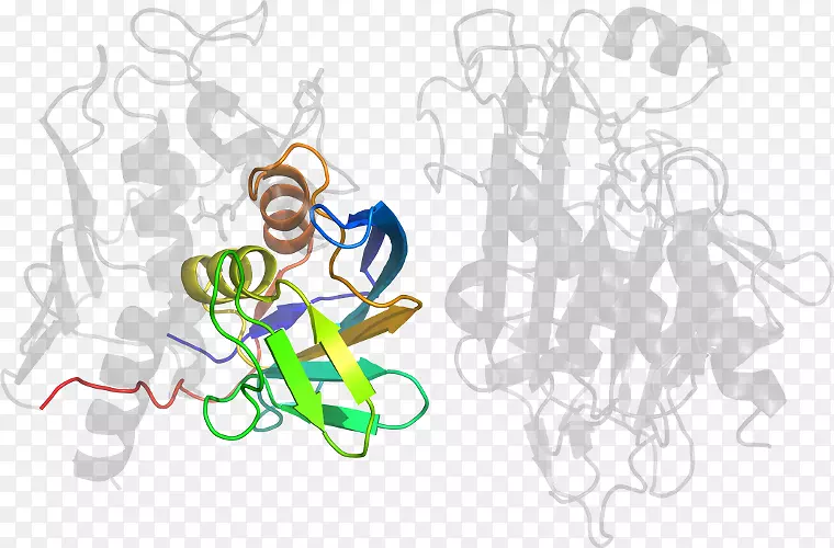 ƽ����Ƽ�����.���-������