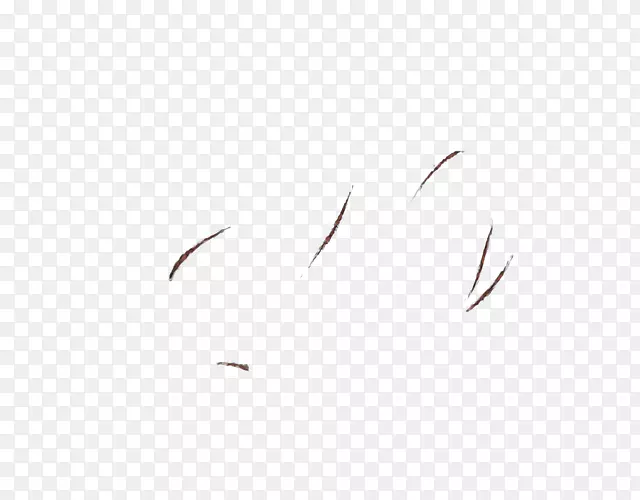 �����ֽ����üë���������-������