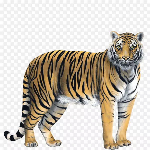 ��ǽ��ֽ-�ϻ�-������