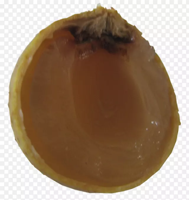 gimp��ʽadobe����Ʋ�����-������