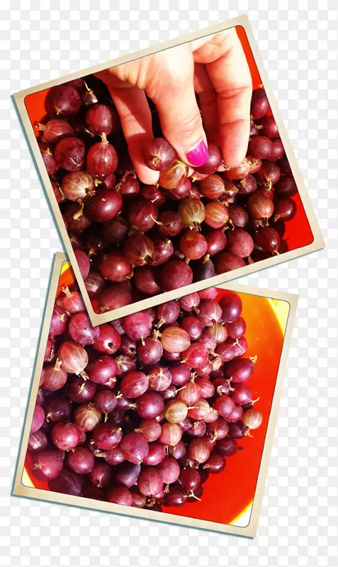 Խ�ٷۺ�����ȻʳƷ-ʳƷ-������